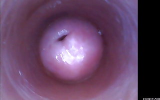 Kira - Kinky selfie (endoscope pussy cam video)